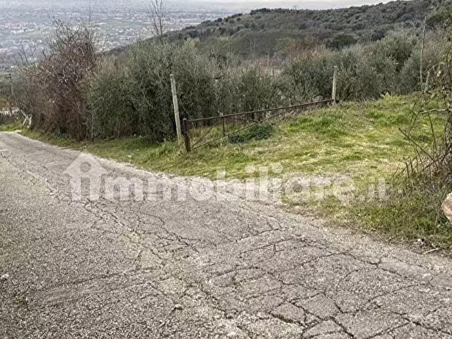 Immagine 3 di Terreno agricolo in vendita  in Via Bracigliano 1 a Sarno
