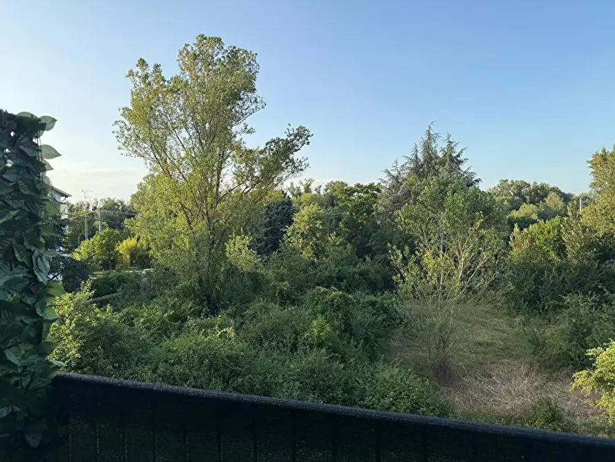 Immagine 11 di Appartamento in affitto  a Lesignano De' Bagni