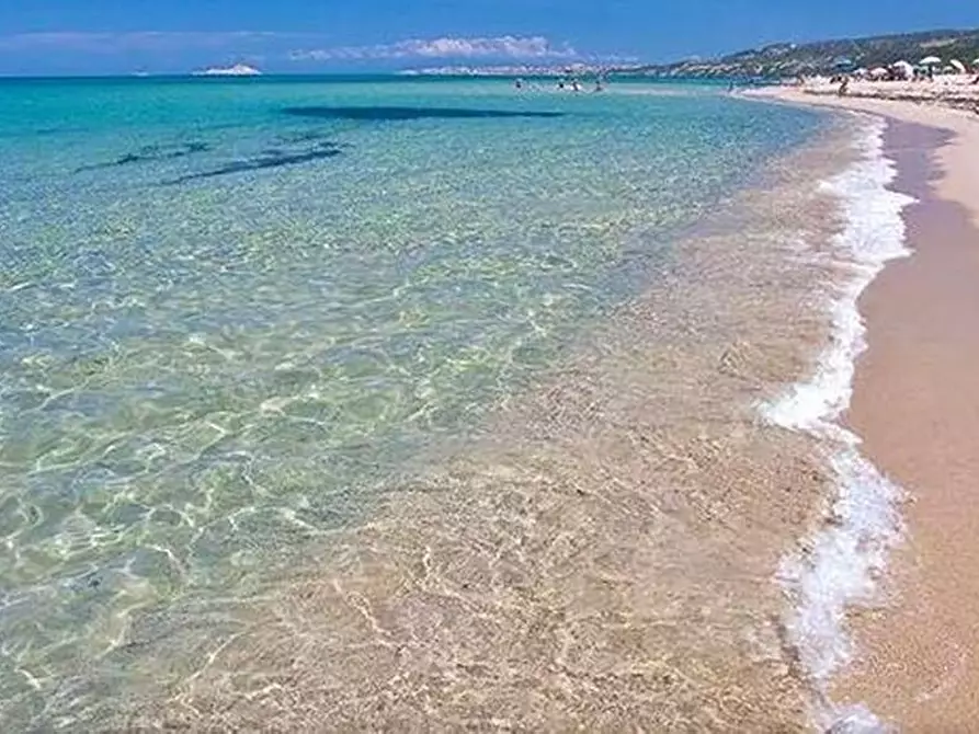 Immagine 17 di Appartamento in vendita  in Paduledda snc a Trinità D'agultu E Vignola