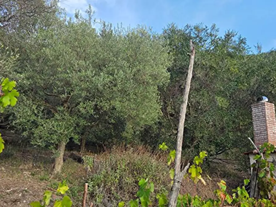 Immagine 3 di Terreno agricolo in vendita  in Via Sant'Eramo 1 a Sarno