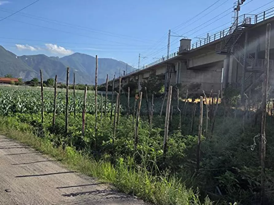 Immagine 1 di Terreno agricolo in vendita  in Via Sciulia 1 a San Valentino Torio