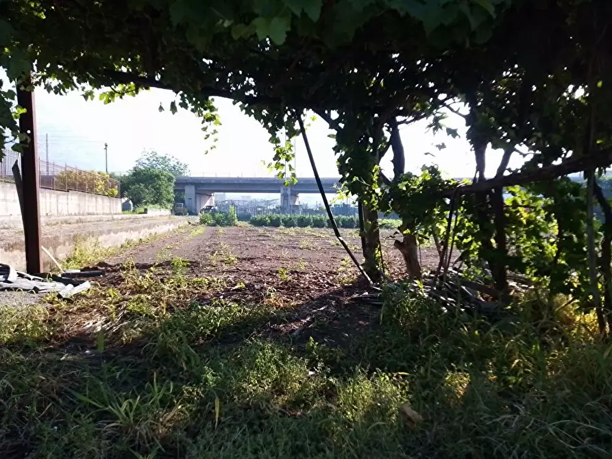 Immagine 1 di Terreno agricolo in vendita  in Via 2°Starzella 1 a Sarno