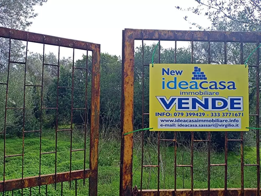 Immagine 3 di Terreno agricolo in vendita  in SV Taniga Baldella snc a Sassari