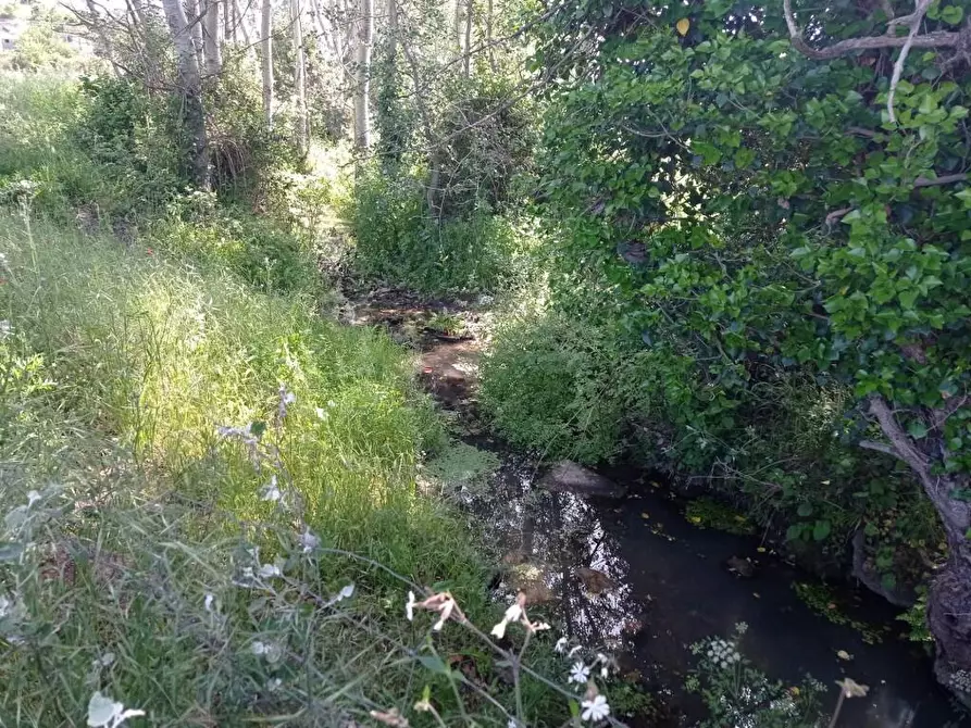 Immagine 10 di Terreno agricolo in vendita  in Matta e Padru snc a Bonorva