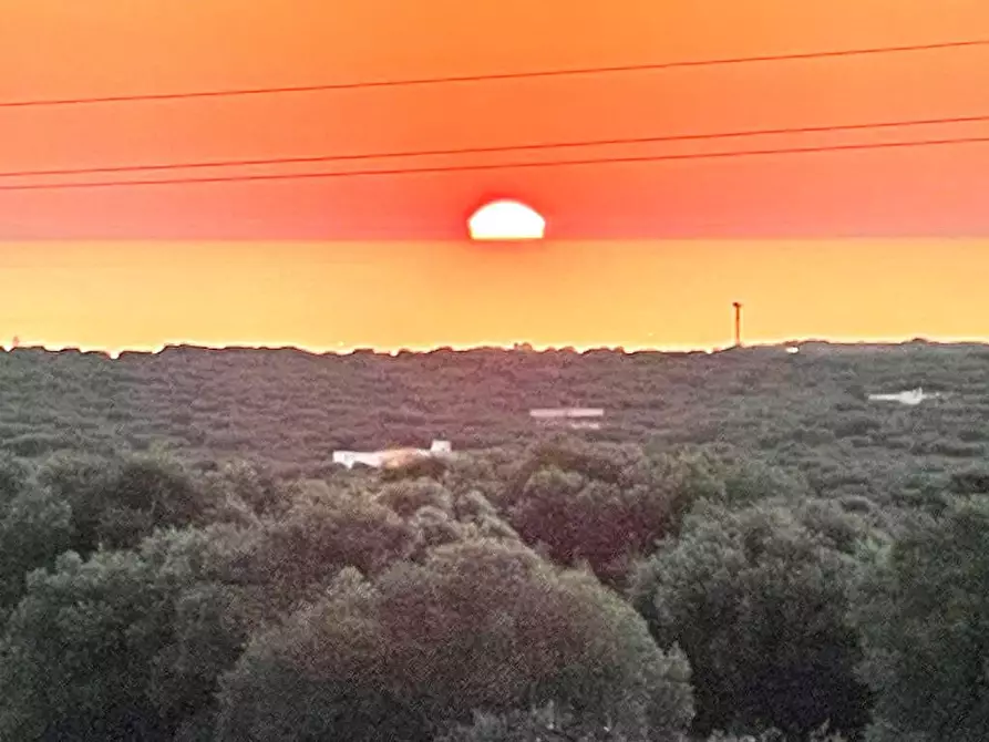 Immagine 4 di Stabile in vendita  in Contrada Macchia di Casa a Monopoli