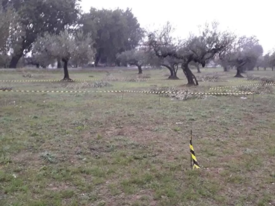 Immagine 6 di Terreno edificabile in vendita  in Via Faresi a Cepagatti