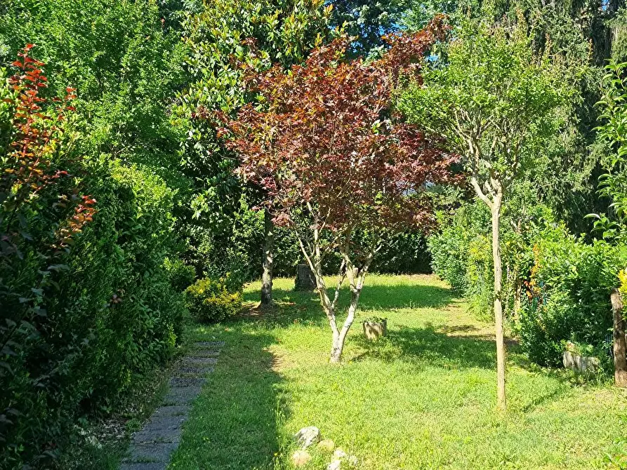 Immagine 5 di Camera in affitto  a Pescaglia