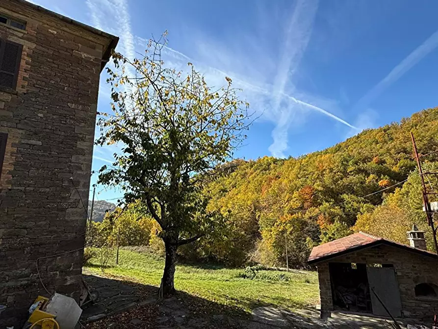Immagine 7 di Rustico / casale in vendita  a Bardi