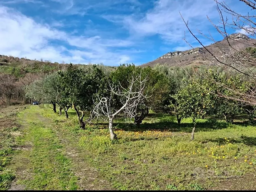 Immagine 2 di Terreno in vendita  in Via Villa Venere 1 a Sarno