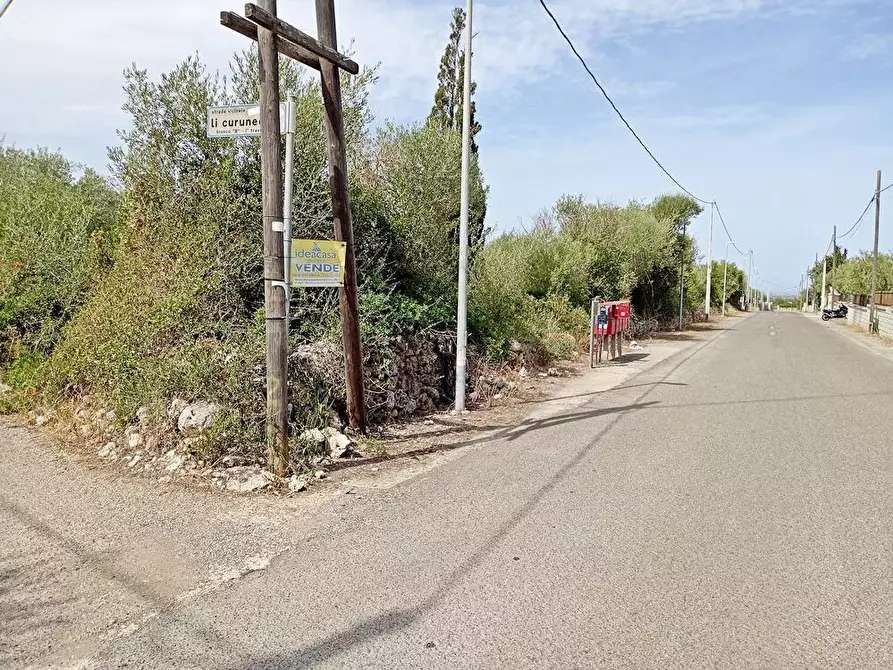 Immagine 3 di Terreno agricolo in vendita  in Li Curuneddi Tronco B snc a Sassari