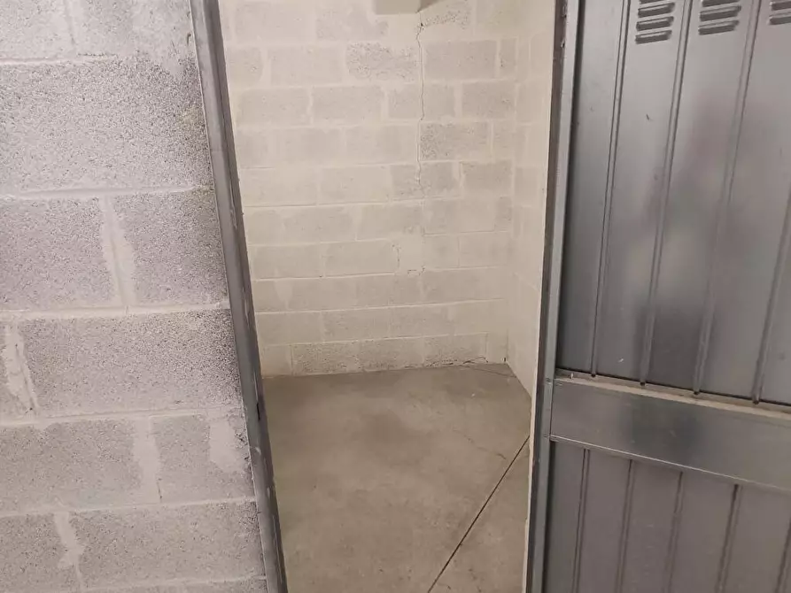 Immagine 1 di Cantina in affitto  in Via Antonio Vivaldi 44 a Albano Laziale