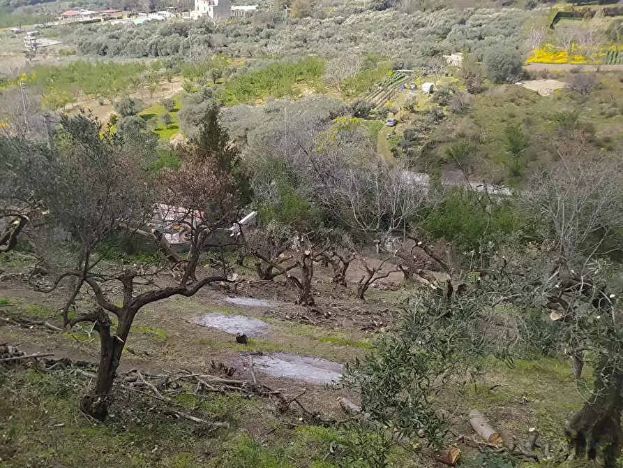 Immagine 4 di Terreno agricolo in vendita  in Via Bracigliano 1 a Sarno