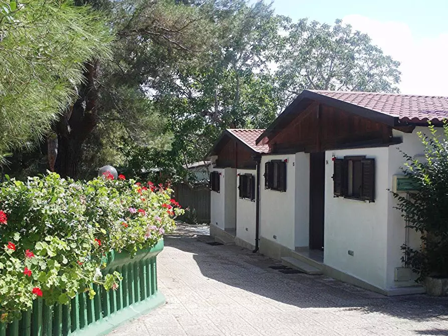 Immagine 4 di Albergo/B&B/Residence in vendita  in S.P. 65 Casamassima/Conversano km 3 km 3 a Casamassima