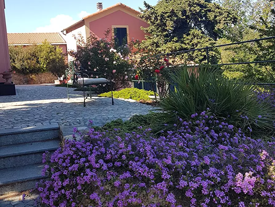 Immagine 1 di Casa indipendente in affitto  a Imperia