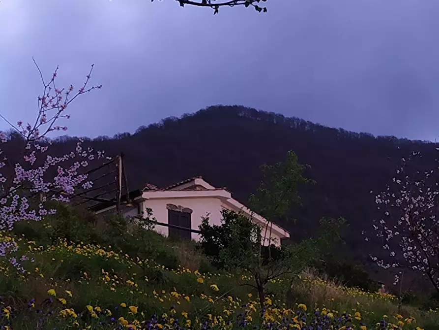 Immagine 7 di Terreno agricolo in vendita  in Via  Sant'Eramo 10 a Sarno