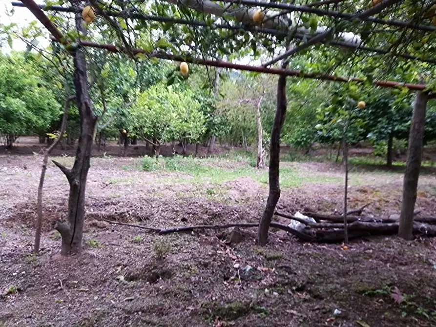 Immagine 11 di Terreno in vendita  in Via Sant'Eramo 10 a Sarno