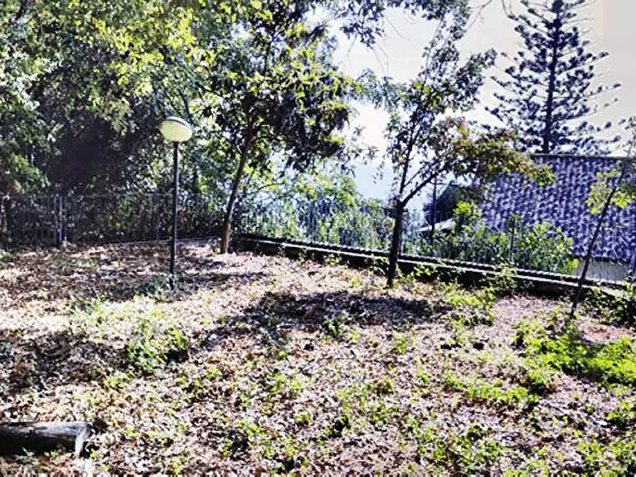 Immagine 10 di Villa in vendita  in Via Pennino  1 a Ascea