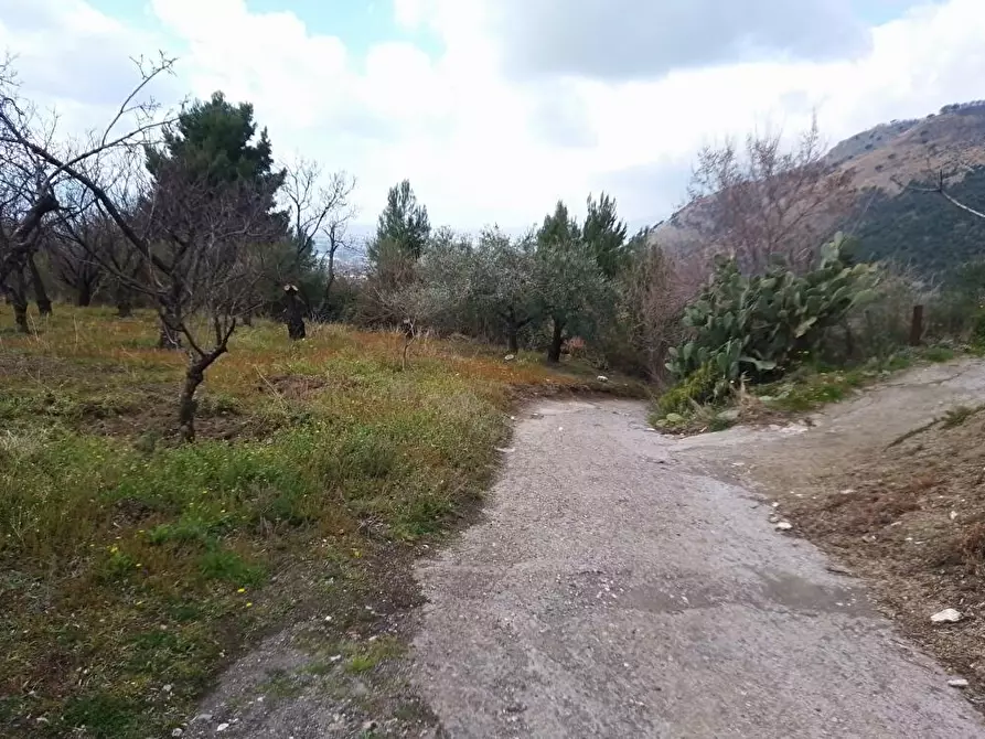 Immagine 1 di Terreno agricolo in vendita  in Via Bracigliano 1 a Sarno