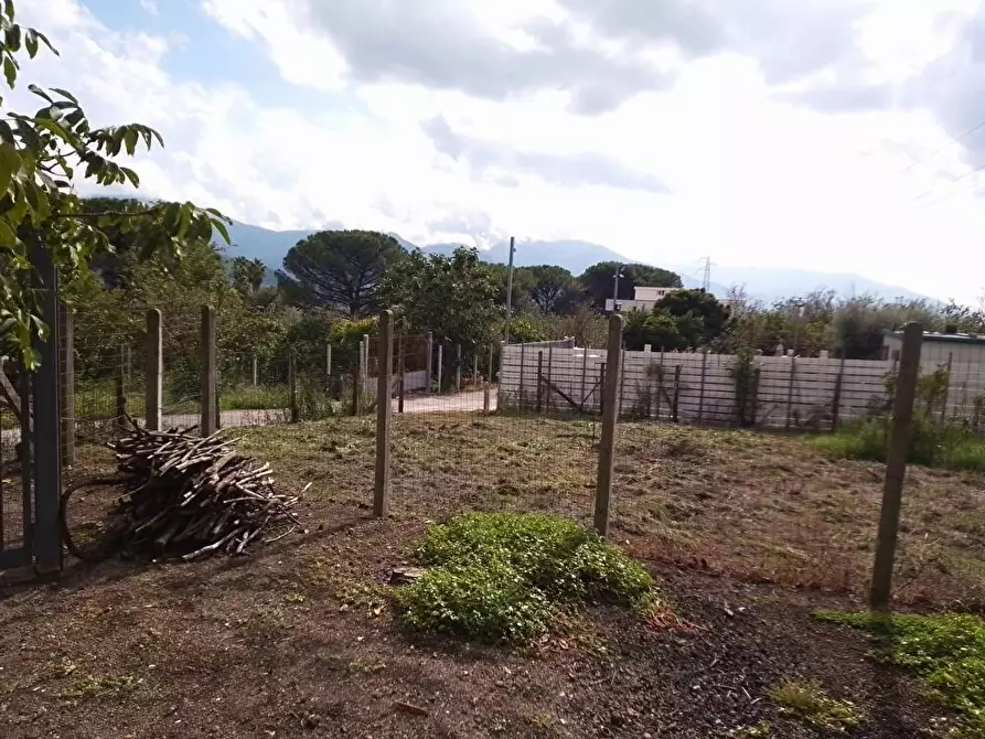 Immagine 12 di Terreno agricolo in vendita  in Via  San Vito 1 a Sarno