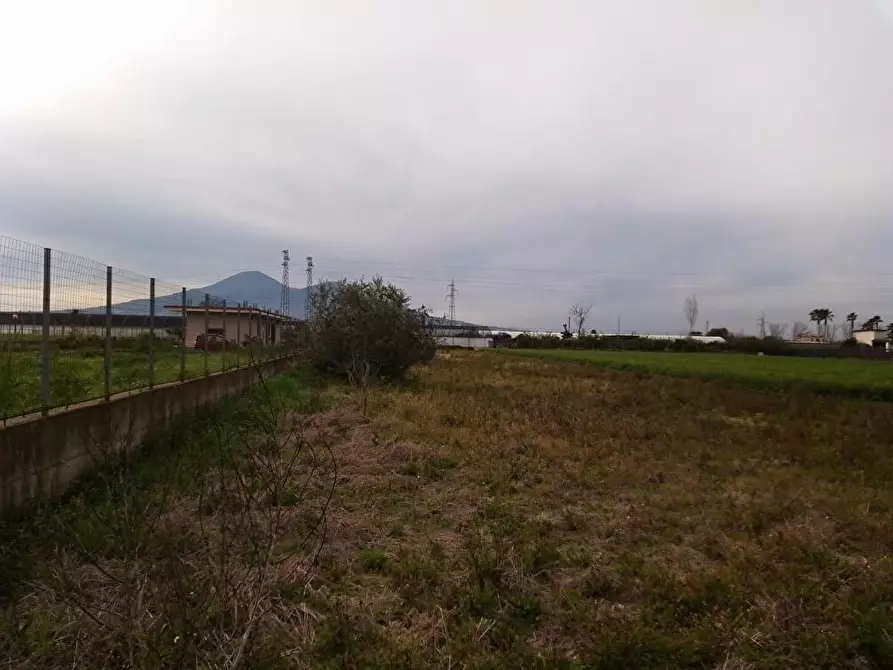Immagine 2 di Terreno agricolo in vendita  in Via Cattaneo 1 a San Valentino Torio