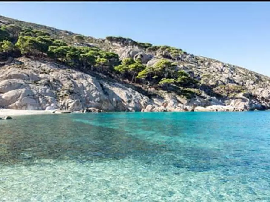 Immagine 5 di Abitazione tipica in affitto  a Monteverdi Marittimo
