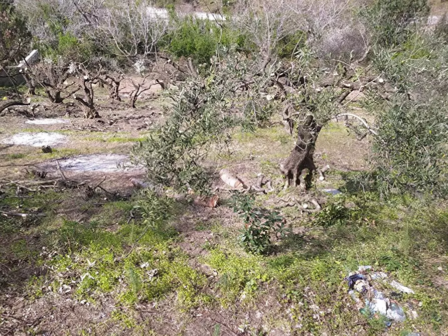 Immagine 7 di Terreno agricolo in vendita  in Via Bracigliano 1 a Sarno