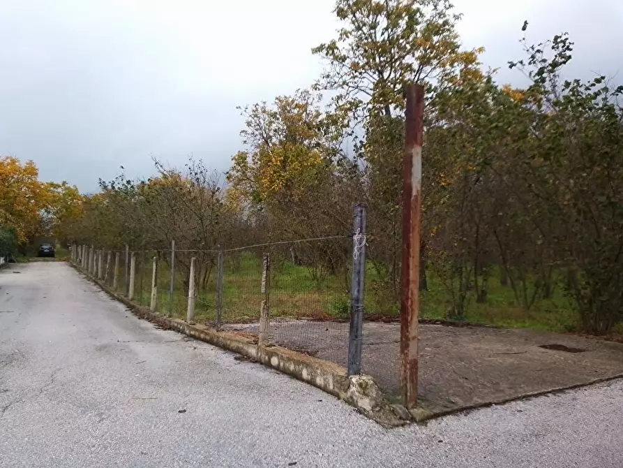Immagine 2 di Terreno agricolo in vendita  in Via Contrada Boschetto 1 a Sarno
