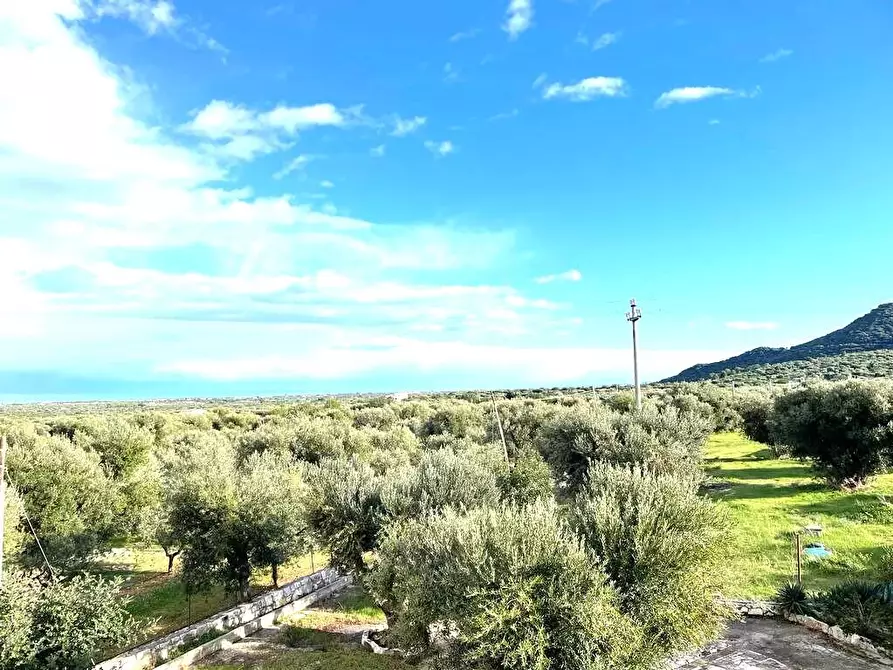 Immagine 5 di Stabile in vendita  in Contrada Macchia di Casa a Monopoli