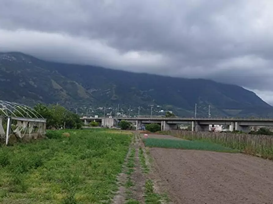 Immagine 6 di Terreno agricolo in vendita  in Via Fraina 1 a Sarno