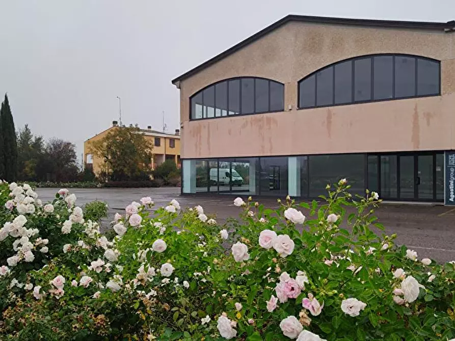Immagine 1 di Capannone industriale in affitto  a Parma