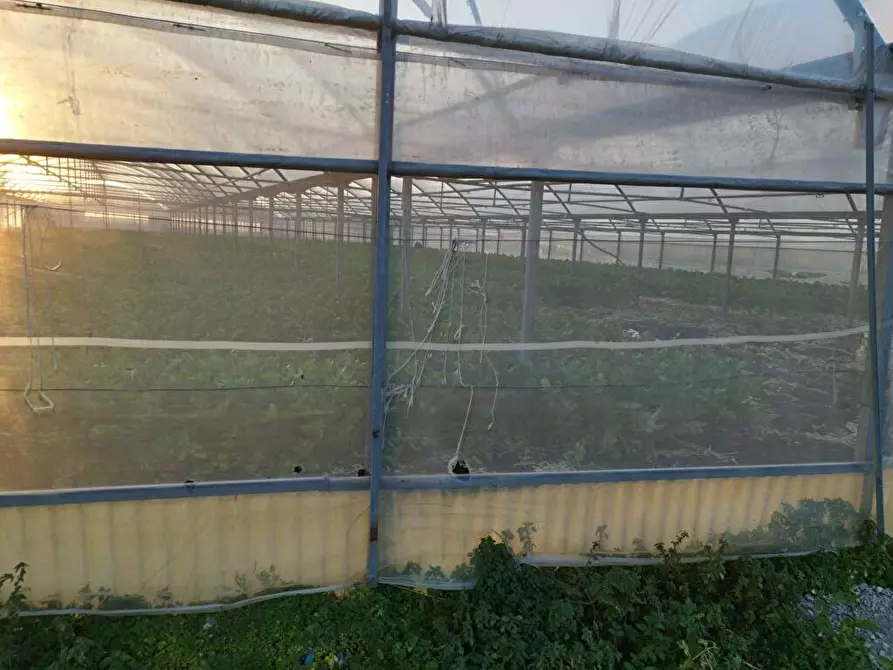 Immagine 3 di Terreno agricolo in vendita  in Zona Industriale Sarno 1 a Sarno