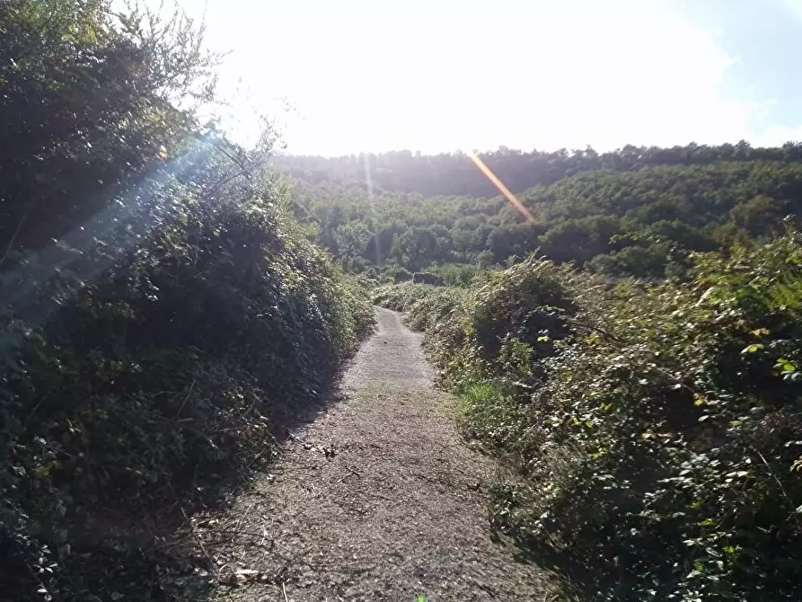 Immagine 3 di Terreno agricolo in vendita  in Via  Sant'Eramo 10 a Sarno