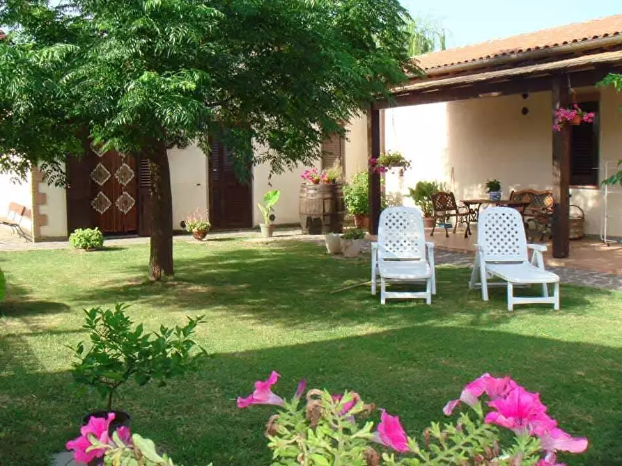 Immagine 4 di Appartamento in affitto  a Grosseto