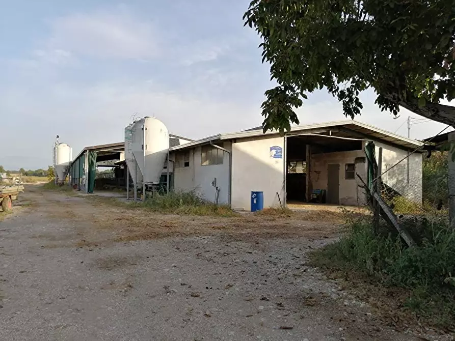 Immagine 3 di Casa colonica in vendita  in via del pasco 12 a Coseano