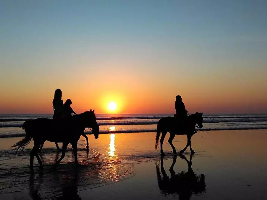 Immagine 2 di Casa vacanze in affitto  a Grosseto