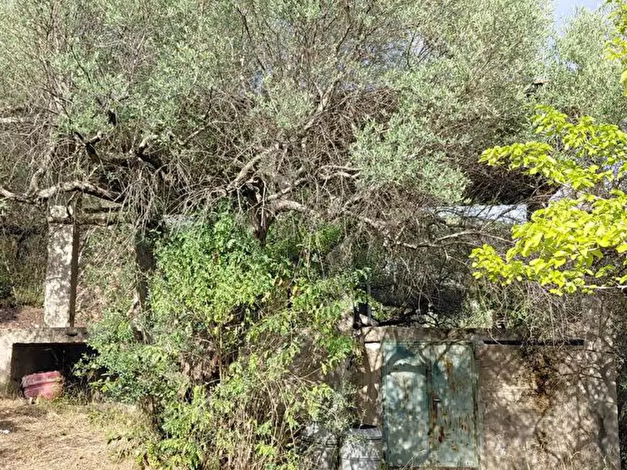 Immagine 7 di Terreno agricolo in vendita  in Via Bracigliano 1 a Sarno