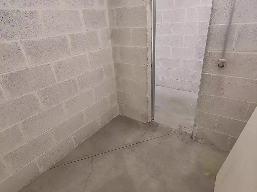 Immagine 2 di Cantina in affitto  in Via Antonio Vivaldi 44 a Albano Laziale