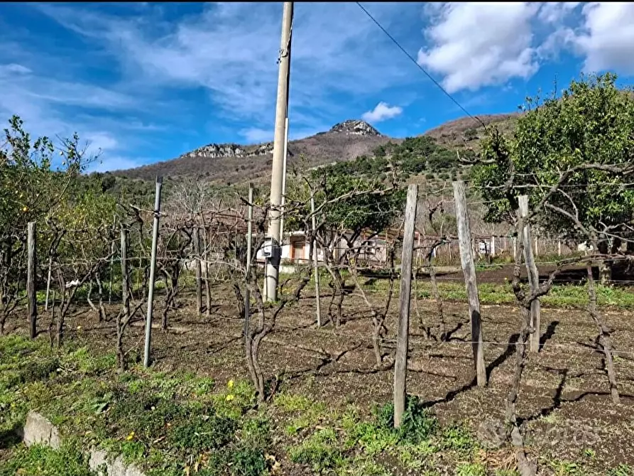 Immagine 5 di Terreno in vendita  in Via Villa Venere 1 a Sarno