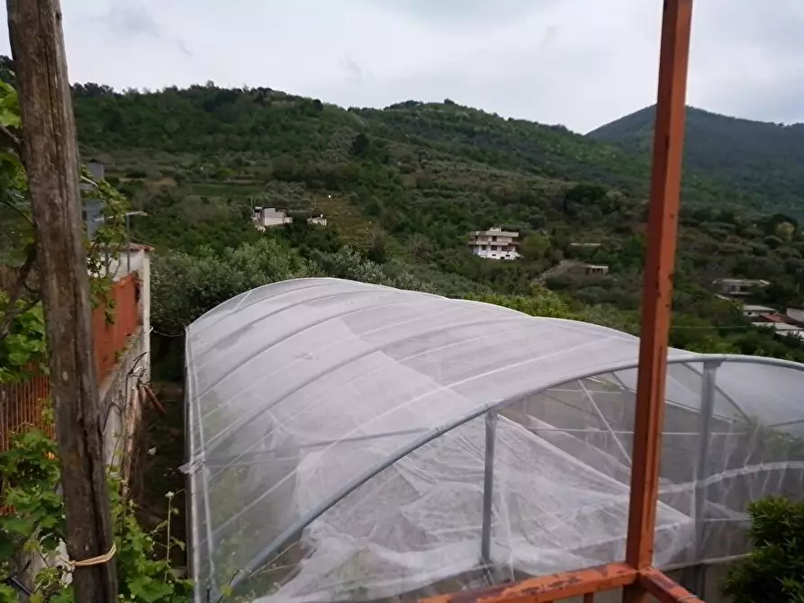 Immagine 3 di Terreno agricolo in vendita  in Via Villa Venere 1 a Sarno