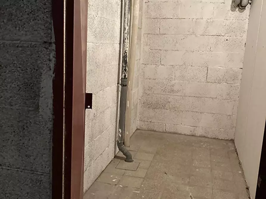 Immagine 3 di Cantina in affitto  a Roma