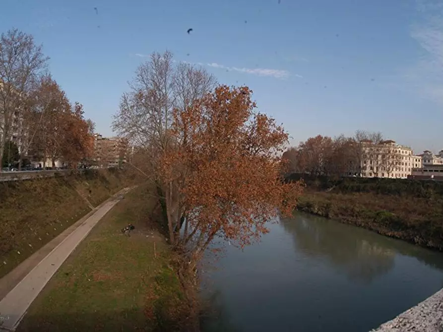 Immagine 20 di Appartamento in affitto  in VIA ETTORE ROLLI  30 a Roma