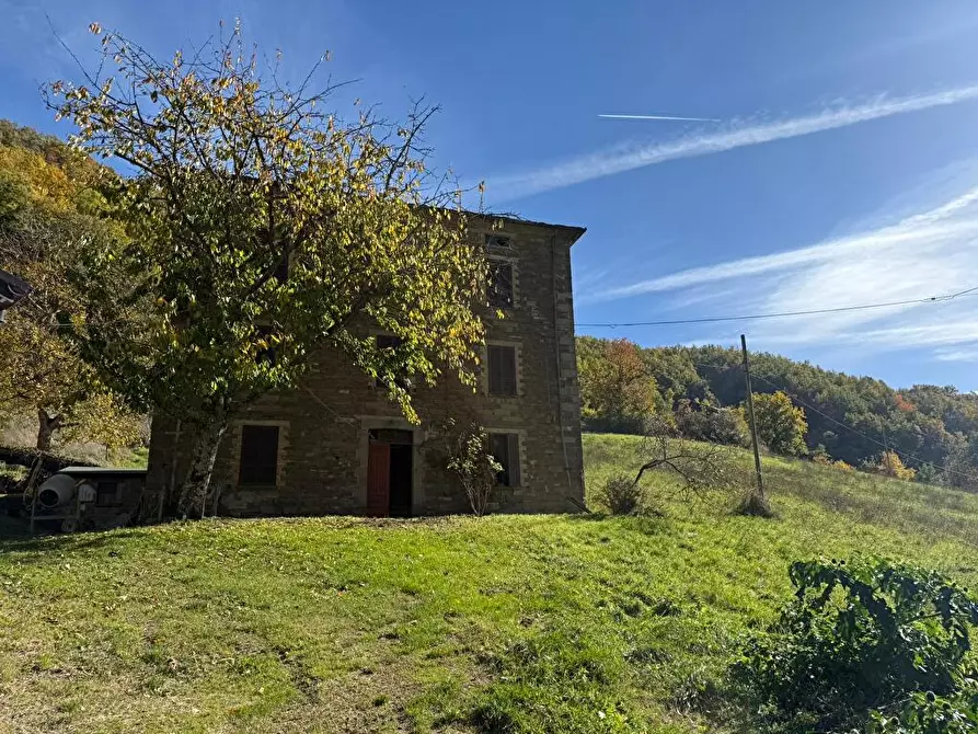 Immagine 18 di Rustico / casale in vendita  a Bardi