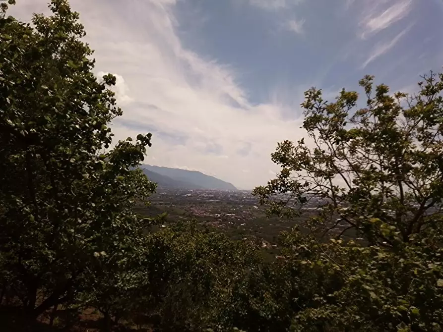 Immagine 1 di Terreno agricolo in vendita  in Via Pirillo 1 a Sarno