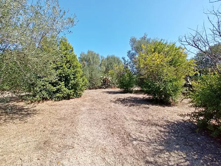 Immagine 13 di Casa colonica in vendita  in SV Pietro d'Ottava 130 a Sassari