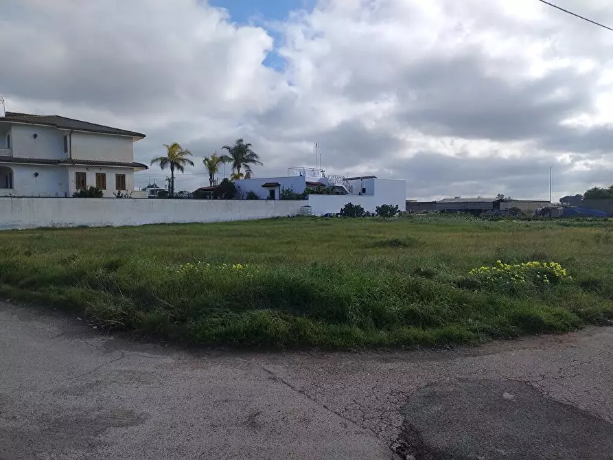 Immagine 2 di Casa colonica in vendita  in Contrada Marchi sn a Cellino San Marco