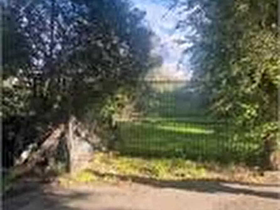 Immagine 7 di Terreno in vendita  a Roma
