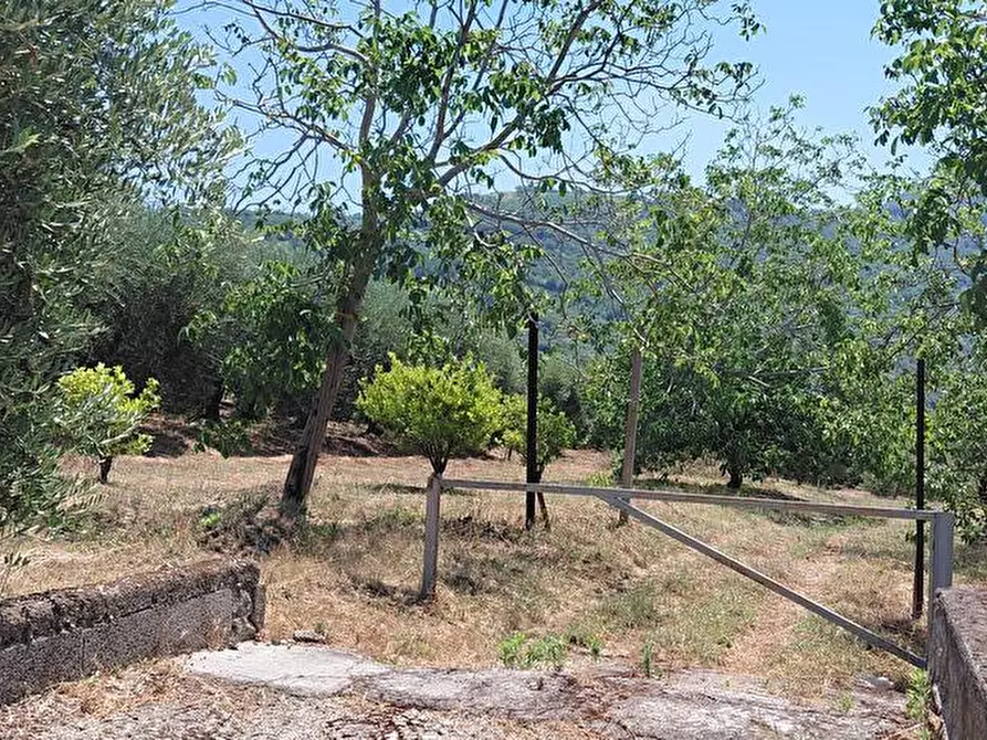 Immagine 1 di Terreno agricolo in vendita  in Via VillaVenere 10 a Sarno