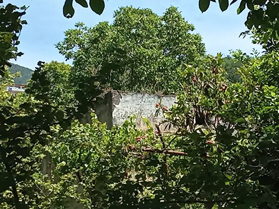 Immagine 4 di Terreno agricolo in vendita  in Via Sant'Eramo 1 a Sarno