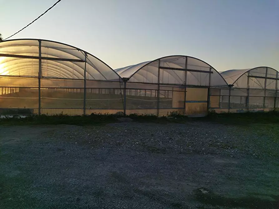 Immagine 4 di Terreno agricolo in vendita  in Zona Industriale Sarno 1 a Sarno