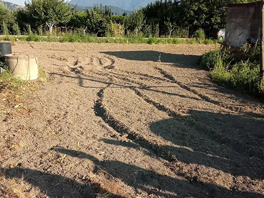 Immagine 6 di Terreno agricolo in vendita  in Via 2 Starzella 1 a Sarno